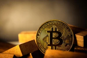 What Does Bitcoin Halving Mean